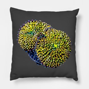 Ricordea Mushroom Art Pillow