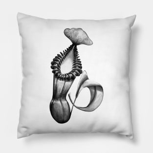 Botanical Carnivorous Plant Drawing Nepenthes Edwardsiana Pitcher Pillow