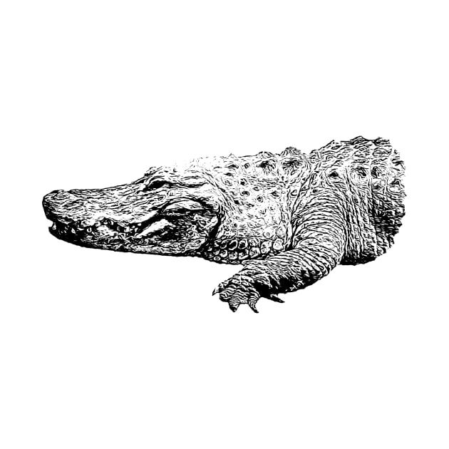 Alligator by Guardi