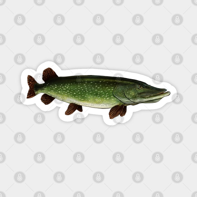 Northern pike Magnet by Sandarmi