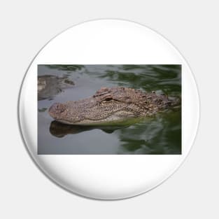 Later Gator Pin