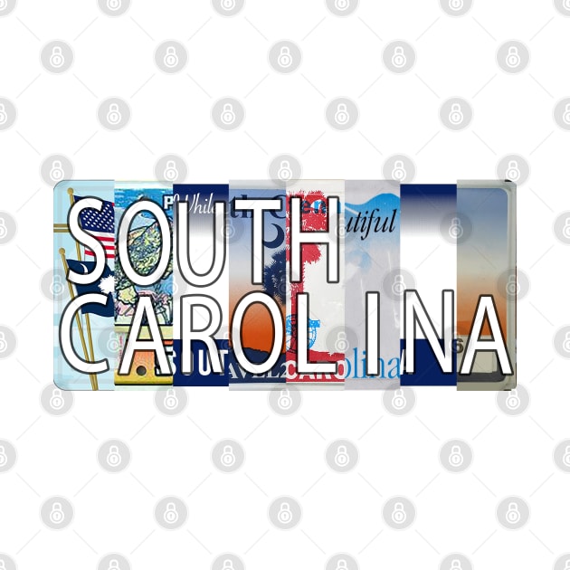 South Carolina License Plates by stermitkermit