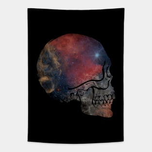 Hidden Galaxy Tapestry