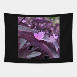 Lavender Flower Popping Out of Purple Leaves Tapestry