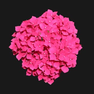 Mop Head Pink Hydrangea T-Shirt