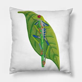 Red-eyed treefrog Pillow