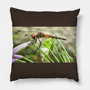 Golden Elegance: Macro Lens Dragonfly Portrait Pillow
