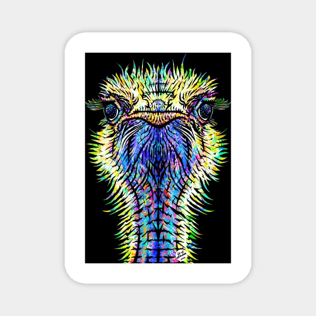 OSTRICH watercolor and ink portrait Magnet by lautir