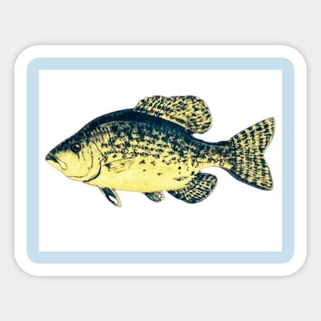 Crappie fish - Crappie - Sticker