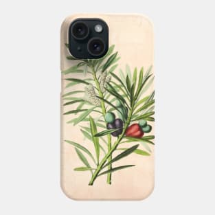 Penstemon Cordifolius Phone Case