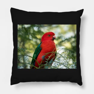 Male King Parrot: Birds of Australia Pillow