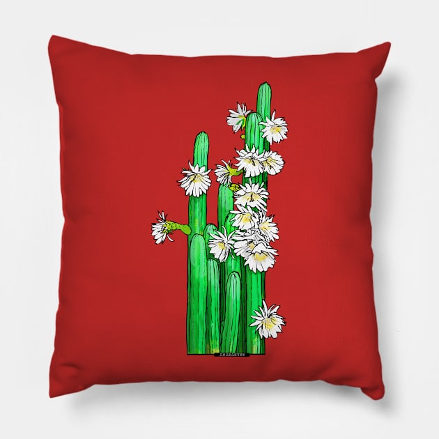 Trichocereus sp. by Agacactus Pillow by AgaCactus