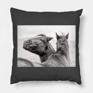 Funny Smiling Ranch Horse Pillow