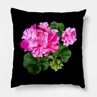 Two Pink and White Striped Geraniums Pillow
