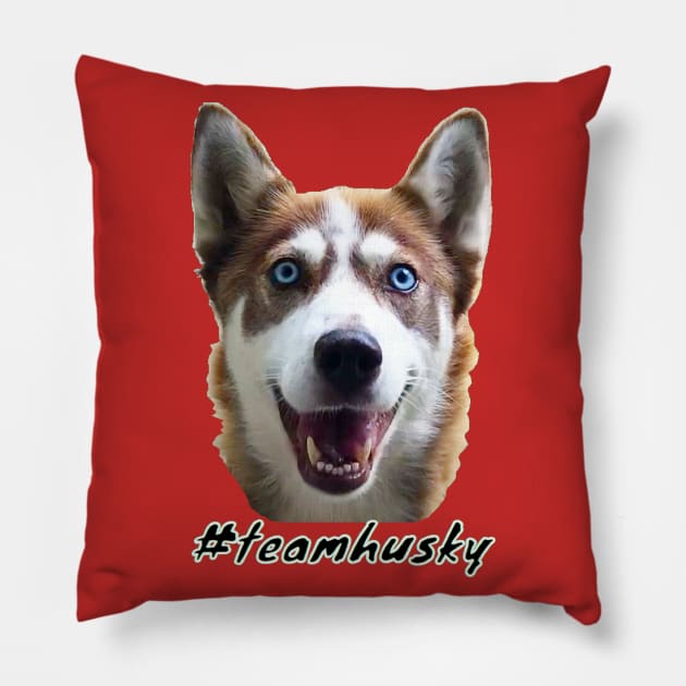 Team Husky Pillow by SILSKY