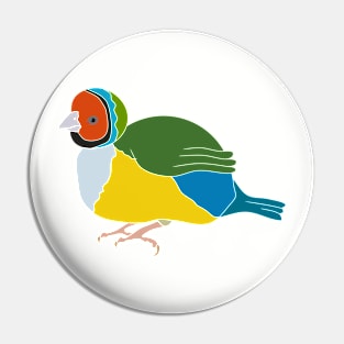 cute fat colorful finches illustrations Pin