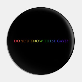 Do you know these Gays? (rainbow) Pin
