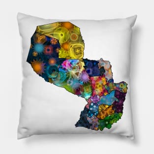 Spirograph Patterned Paraguay Administrative Divisions Map Pillow