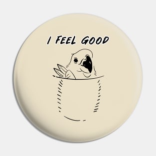 i feel good - bird in my pocket b Pin