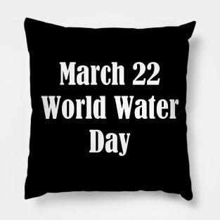 World Water Day Pillow