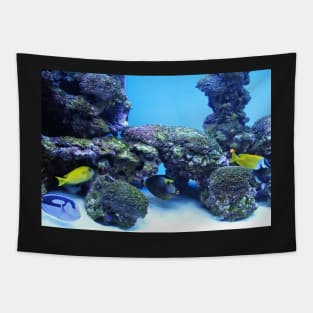 Colorful Fish in the Ocean Tapestry