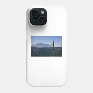 850_2280 Phone Case