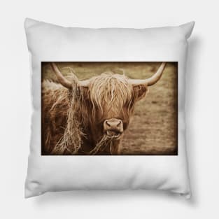 Highland Cow Pillow