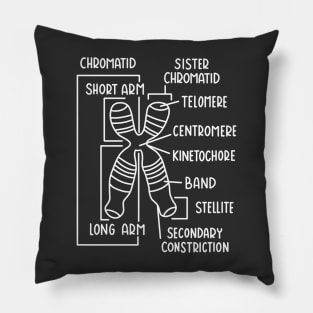 Hand Drawn Chromosome Labeled White Pillow