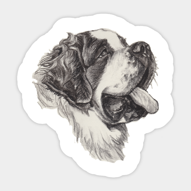 Saint Bernard Dog Portrait - Realistic St Bernard Dog Drawing - Sticker |  Teepublic