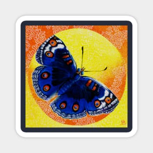 Butterfly Encircled Within a Square Acrylic Painting Magnet