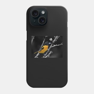 Baltimore Oriole Phone Case