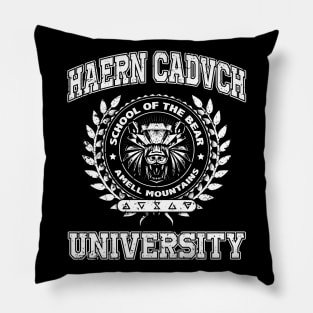 Haern Cadvch University Bear School Pillow