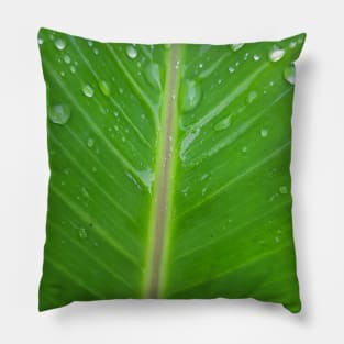 Green banana leaf vein with raindrops Pillow