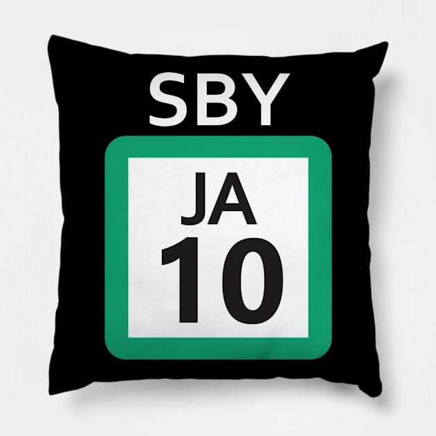 Shibuya Tokyo Sign - Saikyō Train Line Pillow by Japan2PlanetEarth