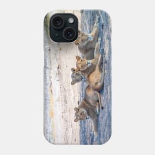 Four Lionesses Shading Themselves Phone Case