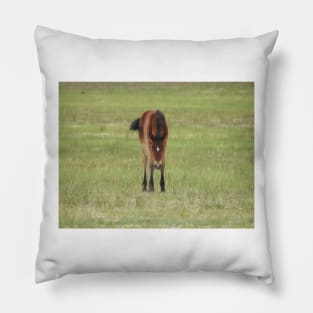 Wildlife gifts, wild horses, Eastern Sierra, California Pillow