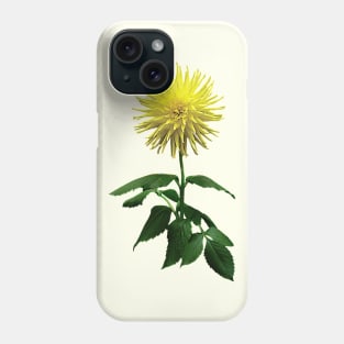 Yellow Dahlia Inland Dynasty Phone Case