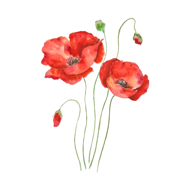 2 orange poppies watercolor by colorandcolor