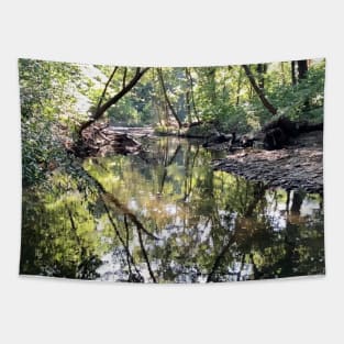 Creek Scenery Landscape Photograph of Beautiful Indian Creek Tapestry