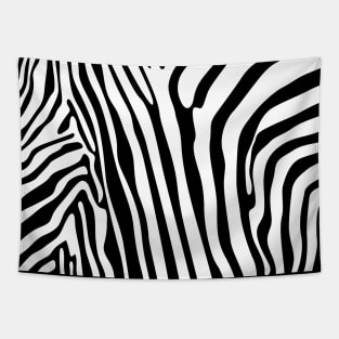 Zebra Pattern Stripes Texture Fur Skin Tapestry