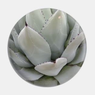 Gray Agave Plant Pin