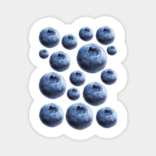 Blueberries Magnet