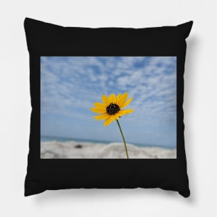 Yellow Flower in Sand and Sky 2 Pillow