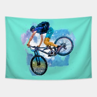 Downhill mountain biking Tapestry