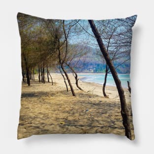 Pine tree forest at Pacitan beach with mountain in backround Pillow