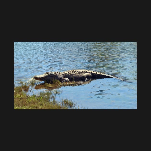 Gator Portrait by Cynthia48