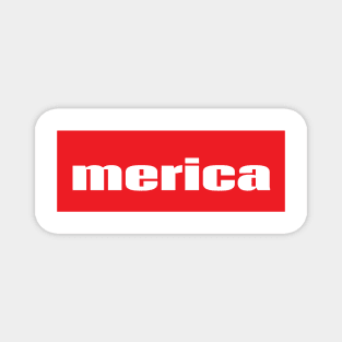 Merica Words Millennials Use America Magnet