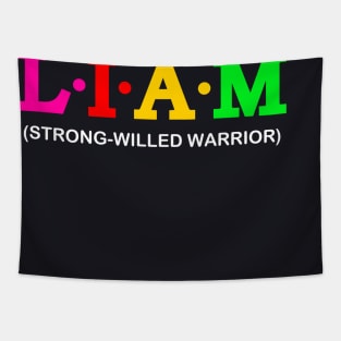 Liam  - Strong-willed Warrior. Tapestry