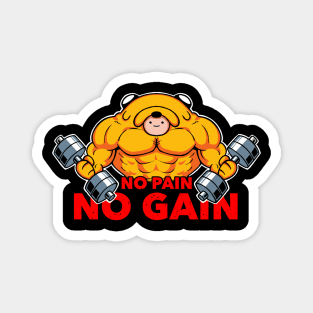 GYM TIMe, No Pain, NO Gain Magnet