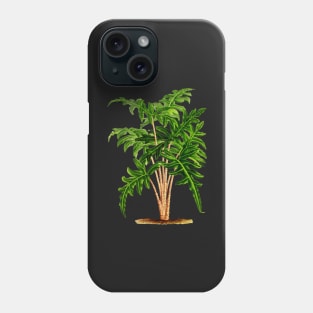 Alocasia portei botanical illustration Phone Case